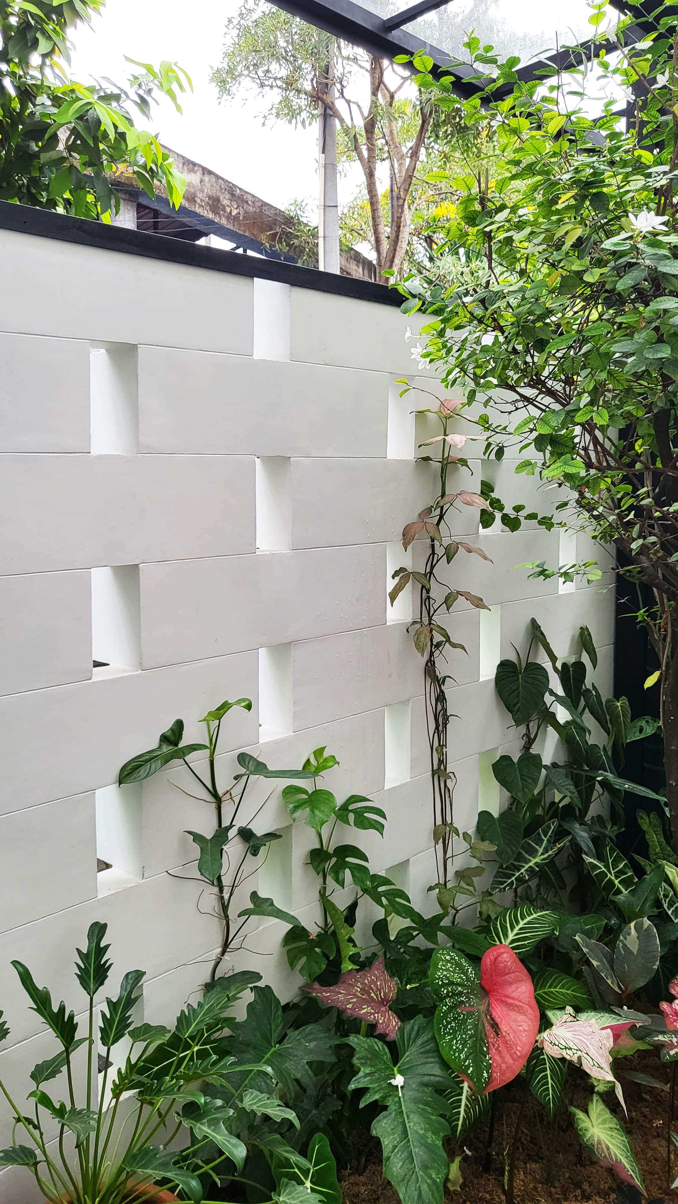House Extension — visual 15 of 23